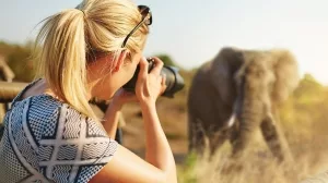 Safari-Touristin beim filmen eines Elefanten