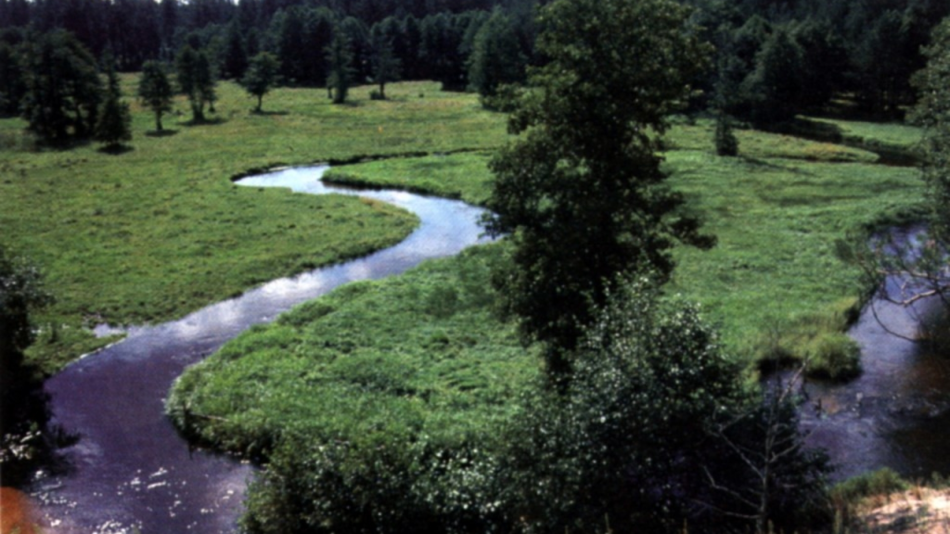 Kurische Nehrung wissen.de