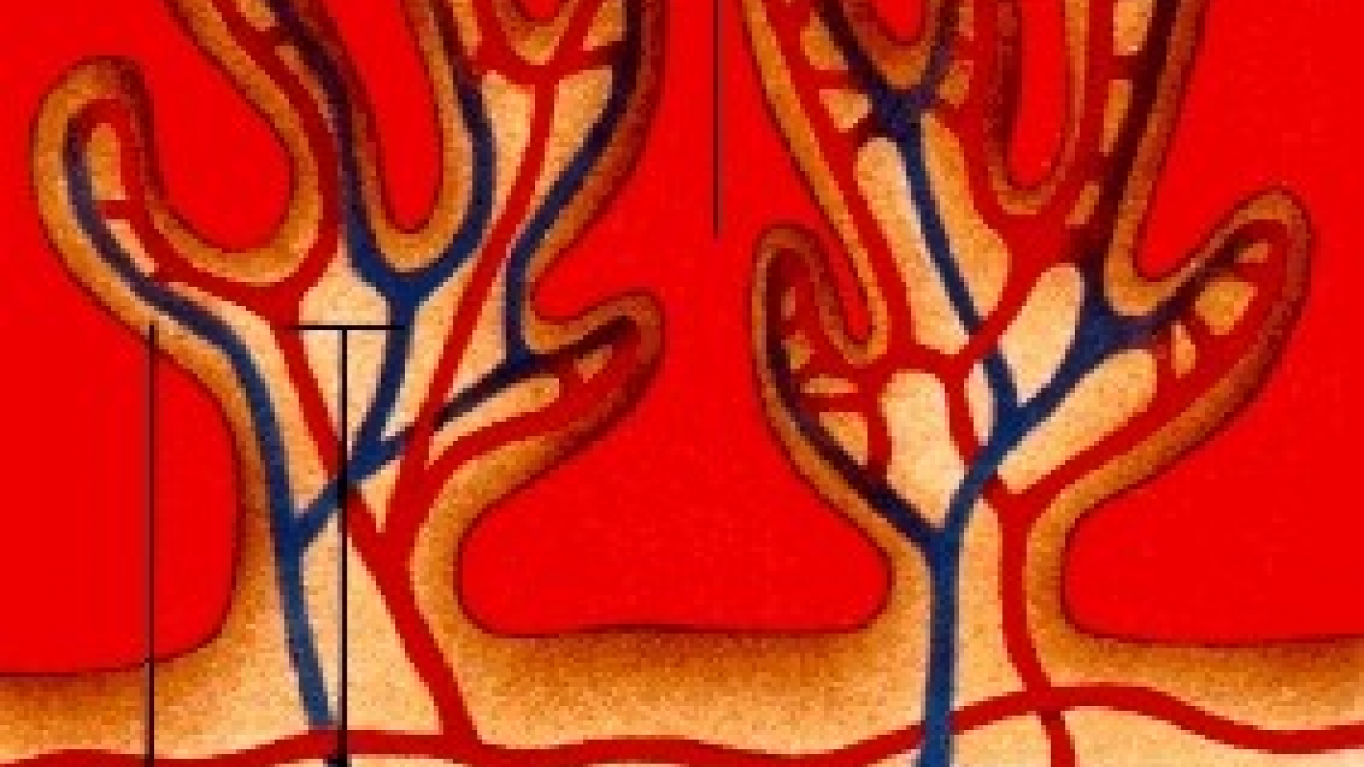 Schwangerschaft | wissen.de