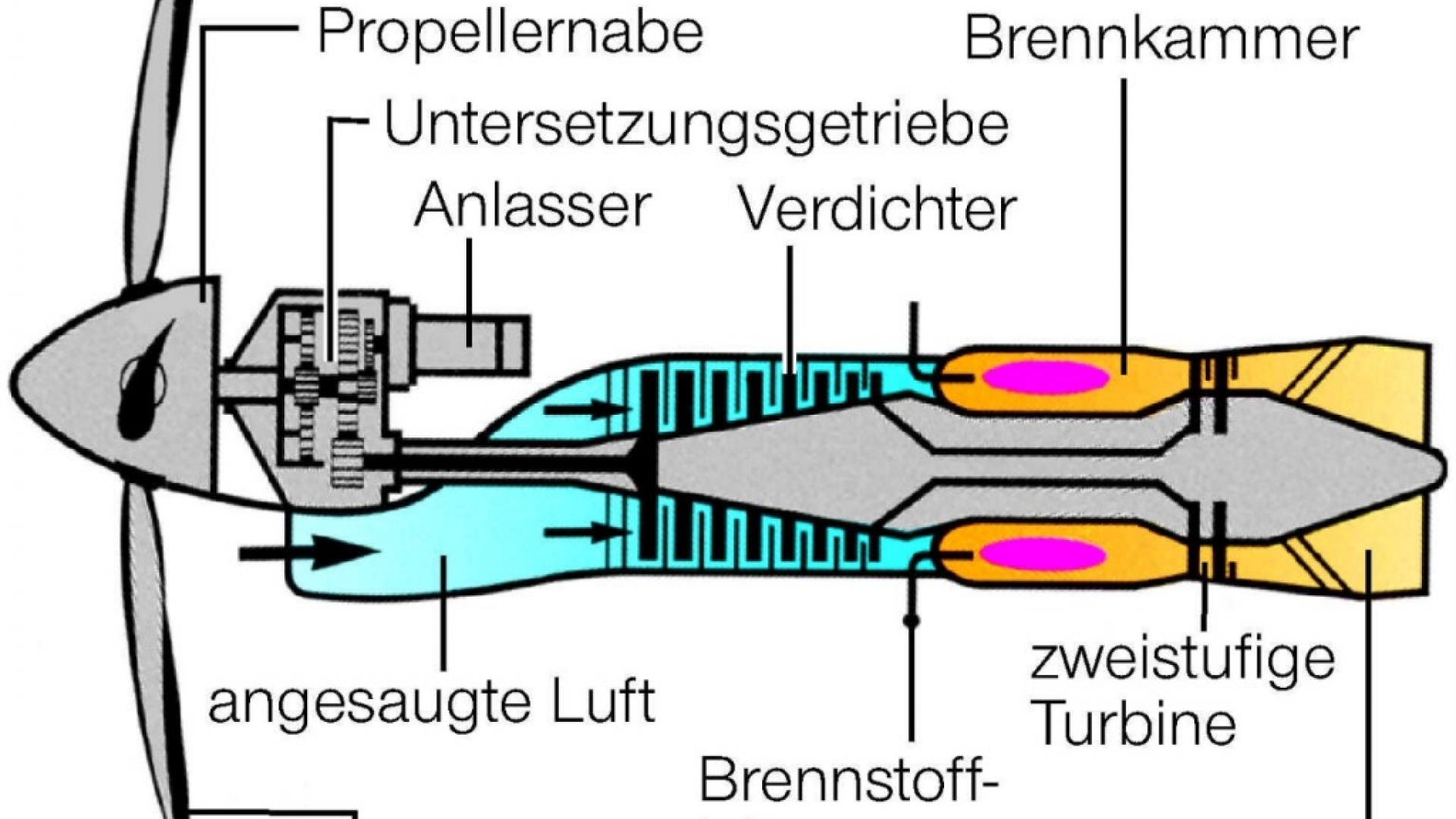 Propellerturbine wissen.de