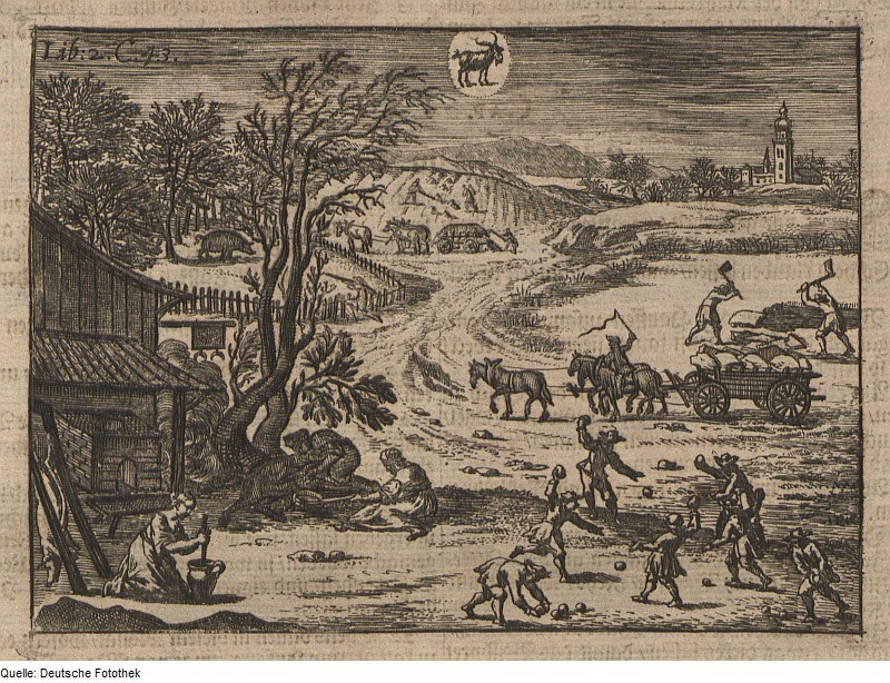 Waage – Präzises Messen des Gewichtes