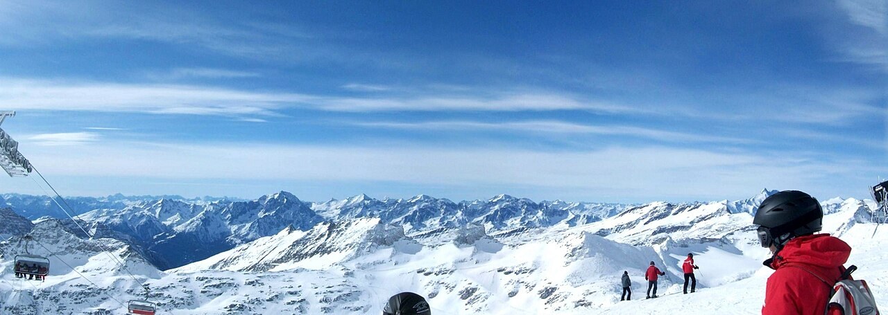 Titanenwurz: Stinkende Pracht
