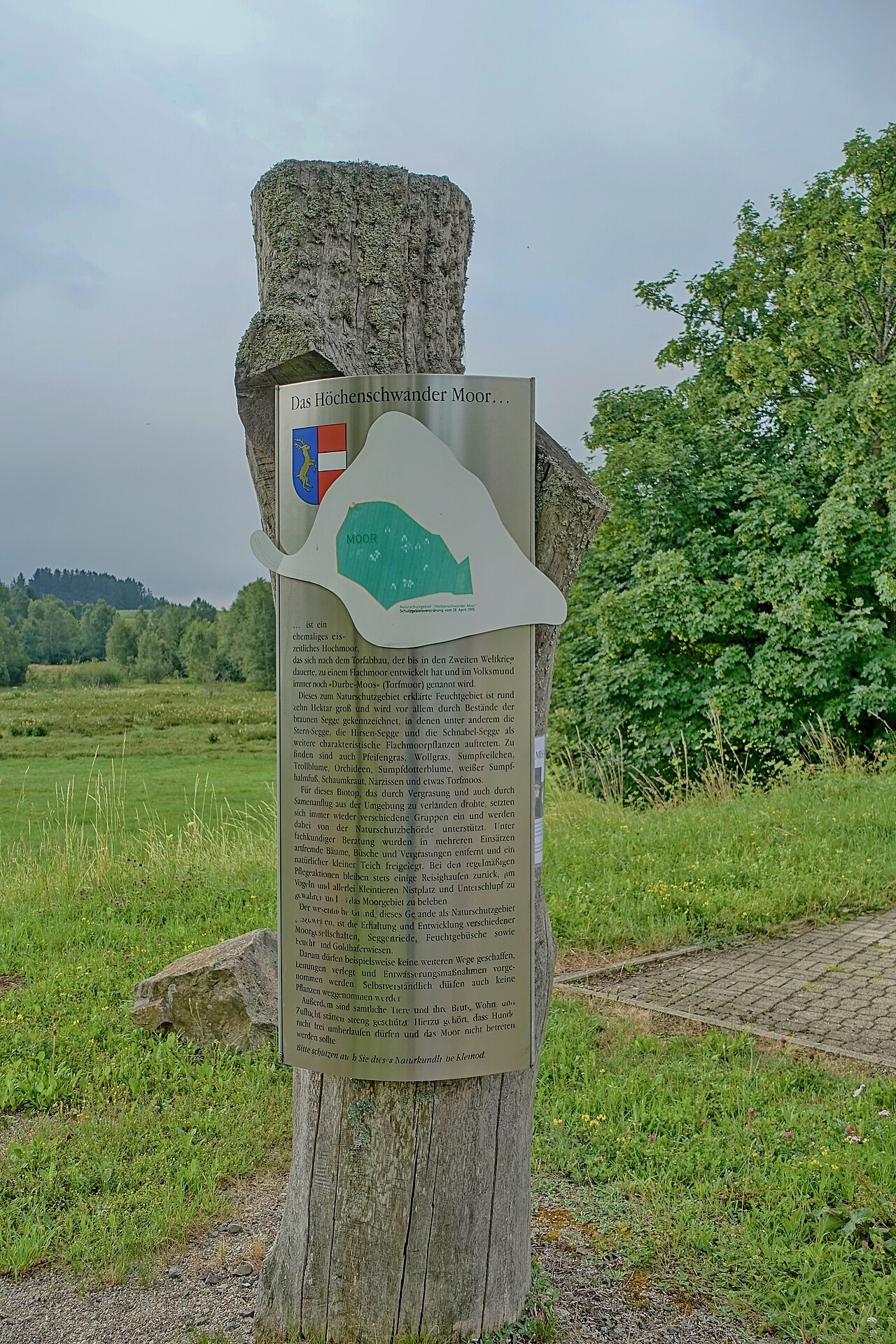 Aschenregen