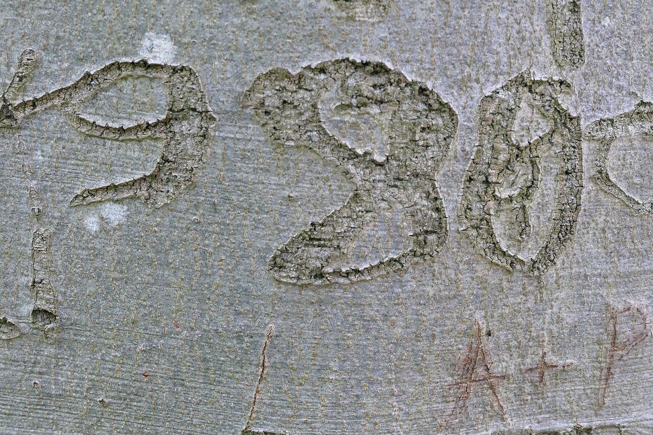 Naturschutz