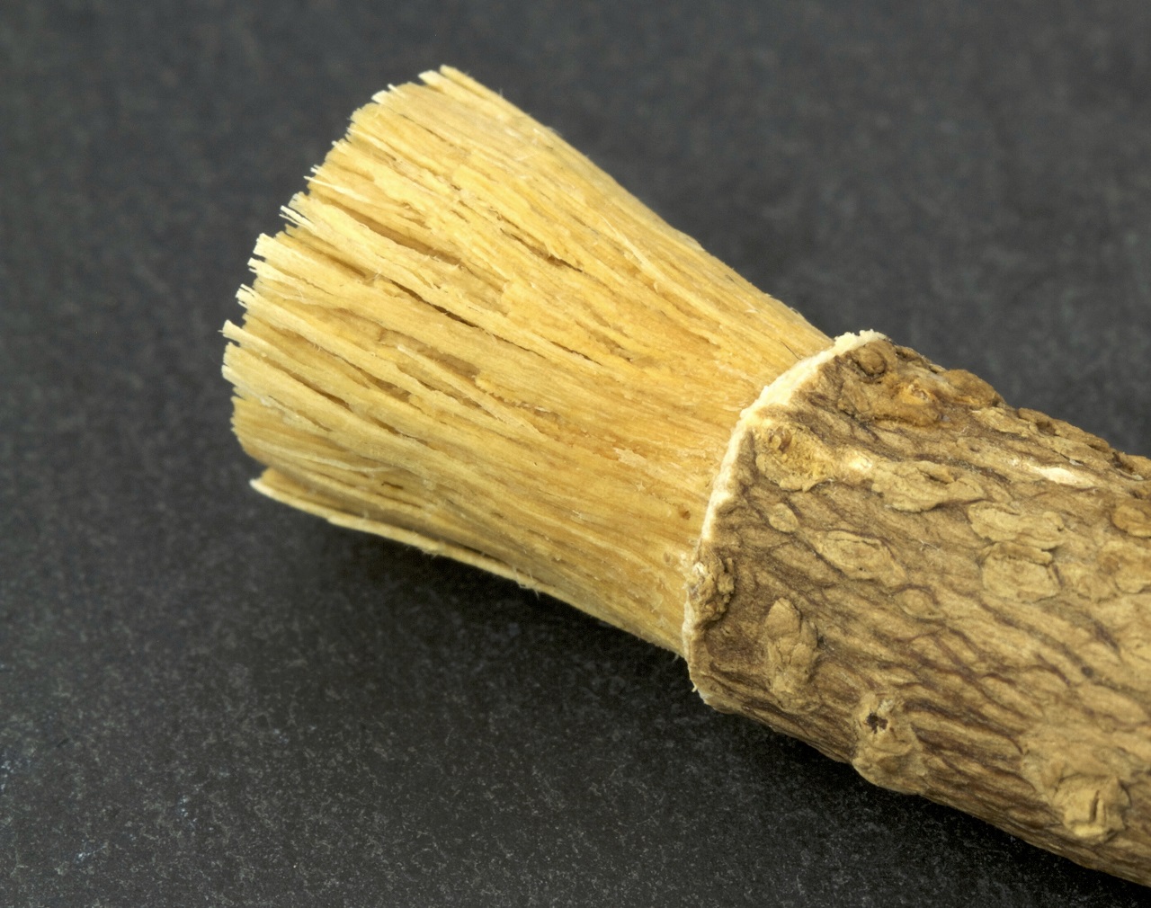 en A twig, bud or root piece of a toothbrush tree (Salvadora persica) is used to brush teeth.  Miswak (Arabic toothpicks, DMG, toothpicks, toothpicks), as well as toothpicks,