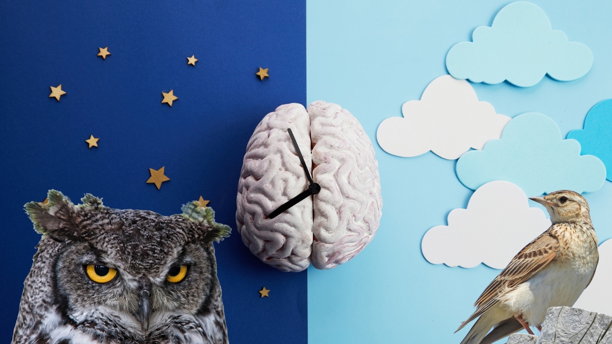 Symbolbild Chronobiologie