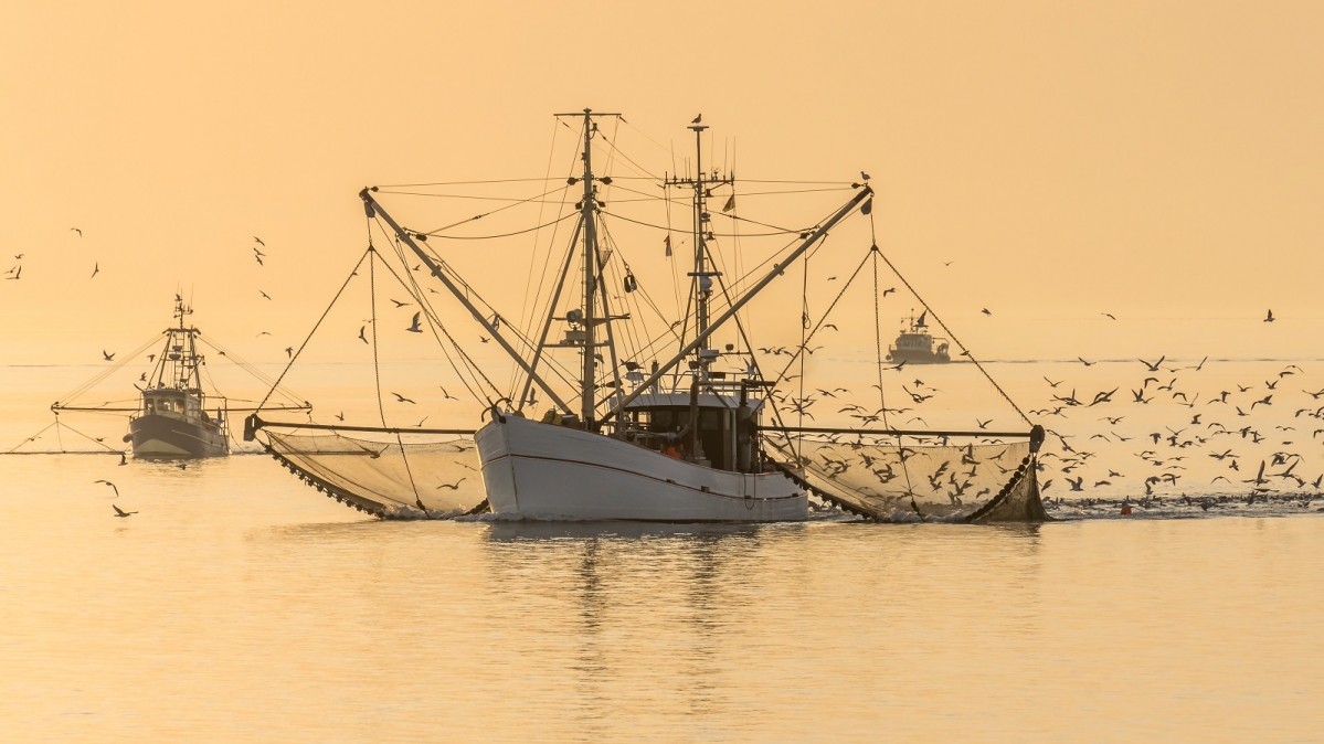 Fischkutter im schleswig-holsteinschen Wattenmeer