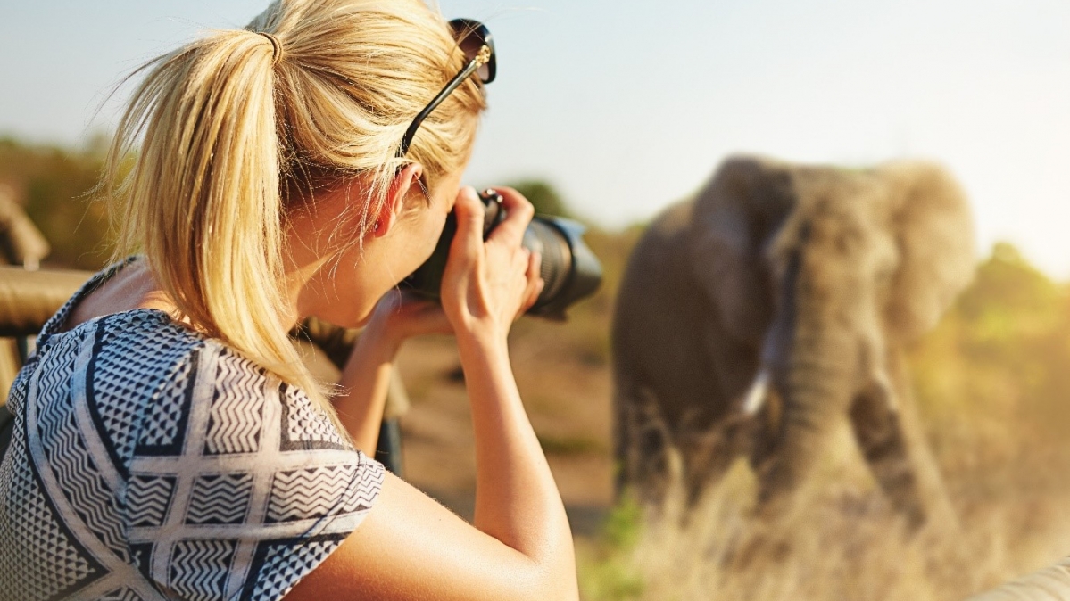 Safari-Touristin beim filmen eines Elefanten