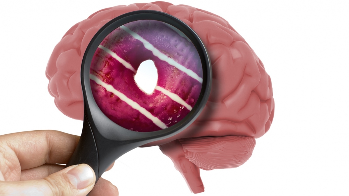 Vergrößerungsglas, das eine Donut im Gehirn zeigt