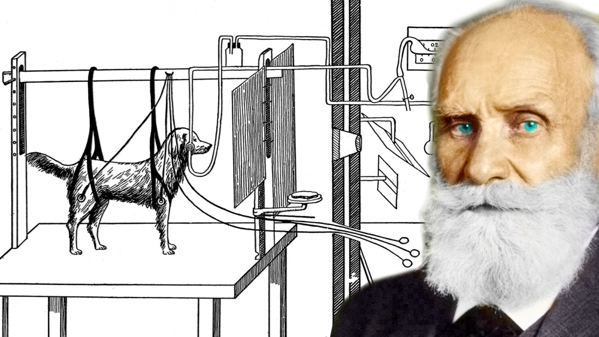 Iwan Petrowitsch Pawlow (1849-1936), der 1904 unter anderem für seine Forschung zu den konditionalen Reflexen mit dem Nobelpreis für Medizin ausgezeichnet wurde