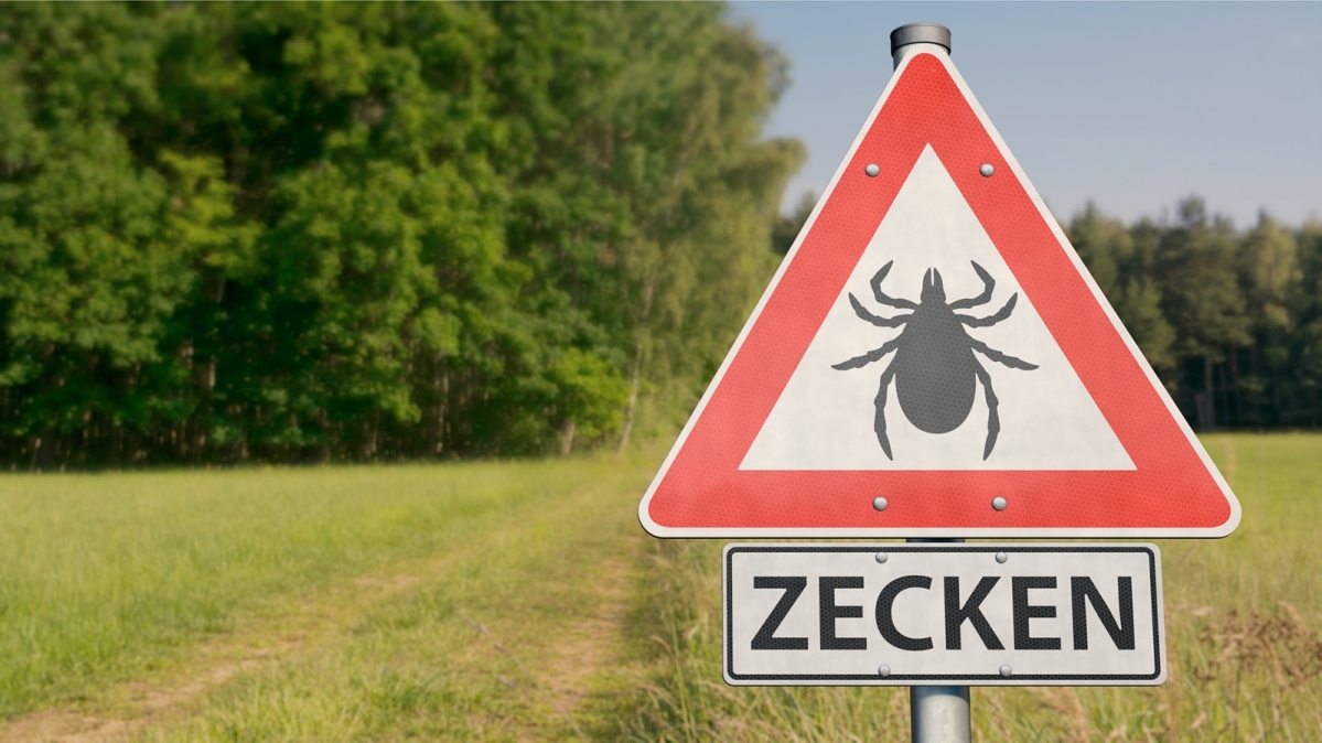 Zeckengefahr - Warnschild an einem Waldrand