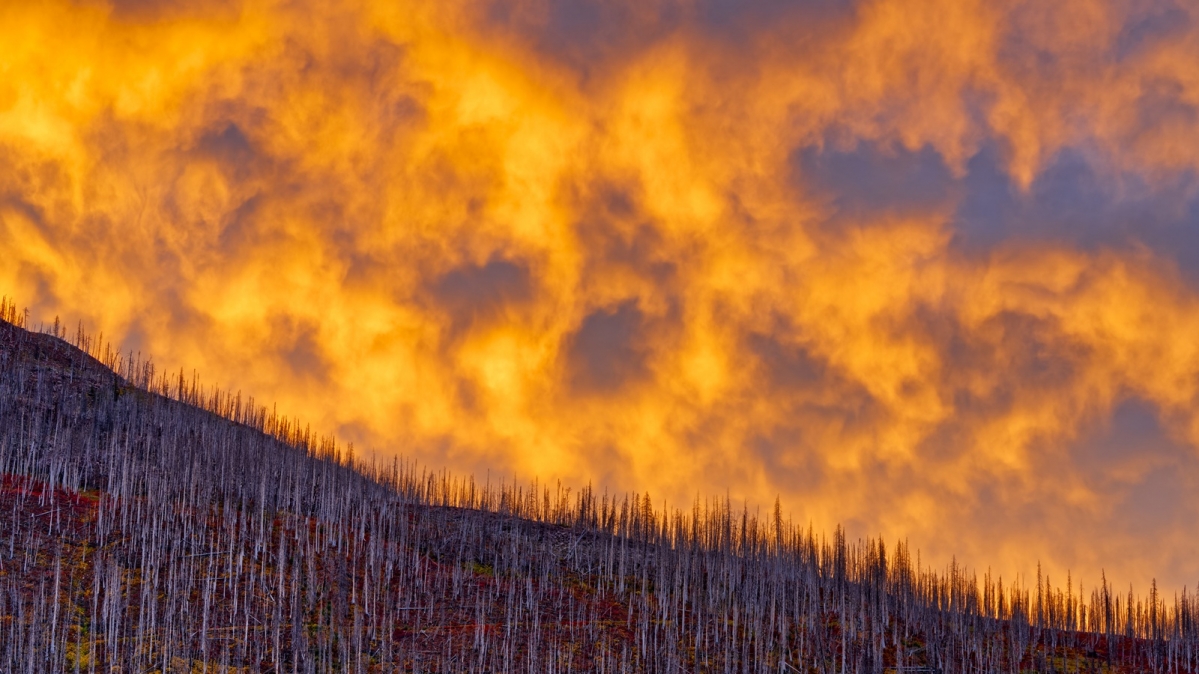 Waldbrand im Waterton-Nationalpark in Alberta Kanada, 2023