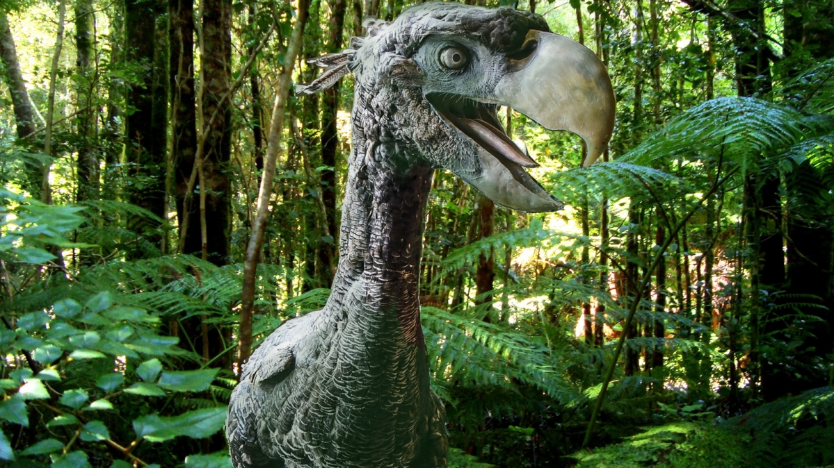 Lebenrekonstruktion eines Paraphysornis brasiliensis vor Waldhintergrund (Oncol park, Provincia de Valdivia, Chile)