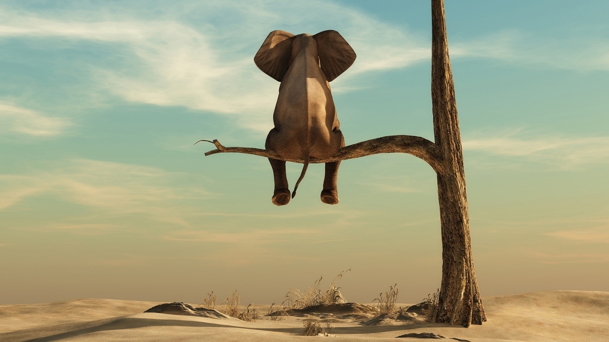 Elefant sitzt auf dünnem Ast eines laublosen Baumes in surrealer Landschaft