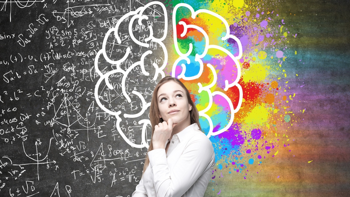 Symbolische Darstellung der Aufgabenverteilung der beiden Hirnhälften