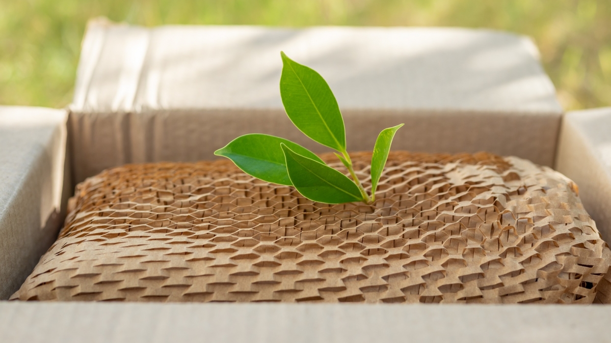 Symbolbild Nachhaltige Verpackung