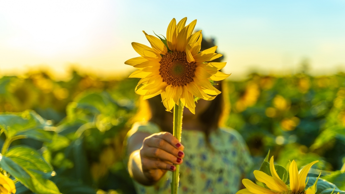 Symbolbild unsichtbare Behinderungen (Sunflowers)
