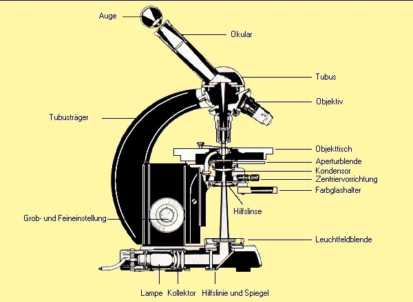 mikroskop-optik-wissen-de