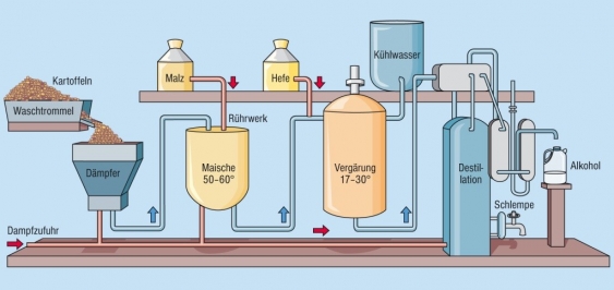 Wo Bekomme Ich Reinen Alkohol Her Alkohol aus dem Lexikon | wissen.de