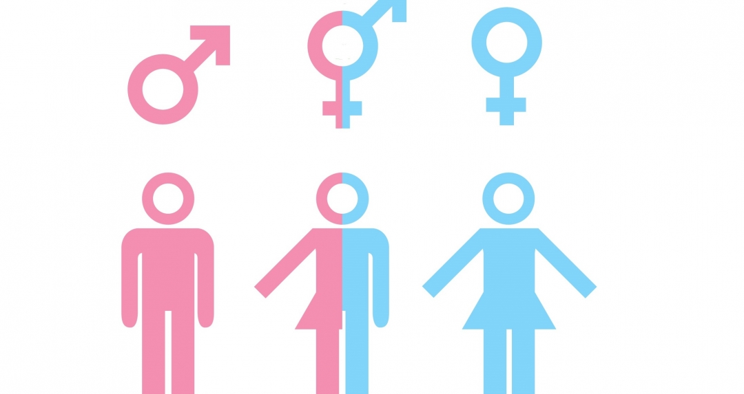 Alles über Intersexualität wissen.de