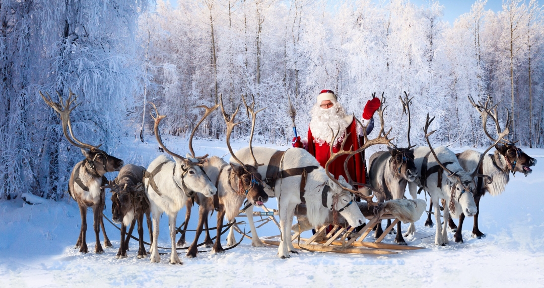 Wissenstest über | Rentier-Quiz – Wie gut kennen Sie sich mit den