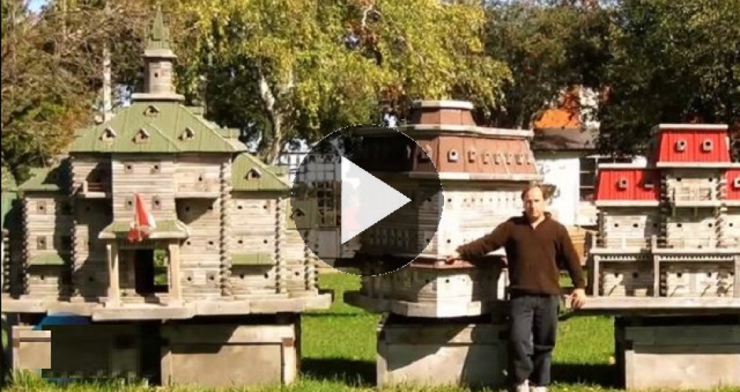 LuxusVillen für Vögel wissen.de