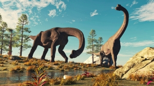 Zwei ausgewachsene Brachiosaurier