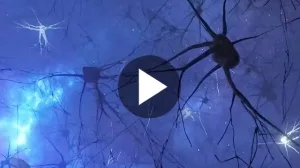 Feuernde Neuronen