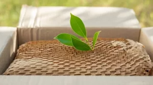 Symbolbild Nachhaltige Verpackung
