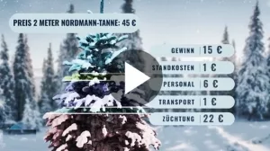 Preiskalkulation für weihnachtliche Nordmanntannen