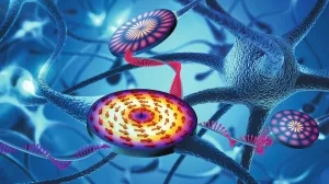 Prinzip_des_neuromorphen_Computers:_Schaltstellen_des_Gehirns_werden_mit_magnetischen_Wellen_nachgebildet,_die_gezielt_in_mikroskopisch_kleinen_Scheiben_erzeugt_und_aufgeteilt_werden._