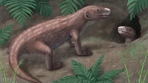 Thrinaxodon