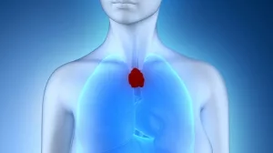 Illustration der Thymusdrüse in einem weiblichen Körper