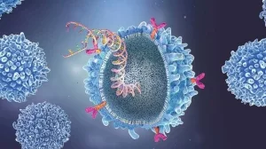 Antigenrezeptor-Immunzelle