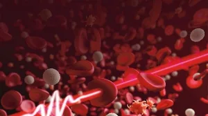 HR_Molekuel_Blut.jpg