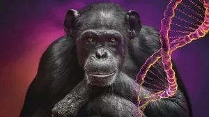 Portrait_of_a_common_chimpanzee_(Pan_troglodytes)