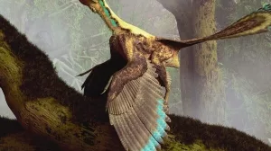 Archaeopteryx
