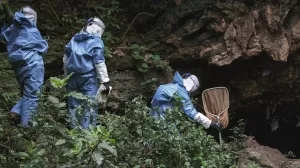 Vier Personen in blauen Schutzanzügen untersuchen eine Höhle im Wald.