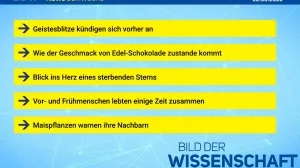 Beitragsbild News der Woche 13/2025