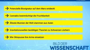 Beitragsbild News der Woche 15/2025