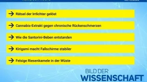 Beitragsbild News der Woche 16/2025