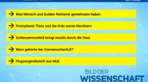 Beitragsbild News der Woche 19/2025
