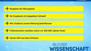 Beitragsbild News der Woche 20/2025