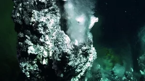 Hydrothermalquel len in 860 Metern Wassertiefe im Menez Gwen Hydrothermalfeld südwestlich der Azoren.