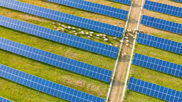 Symbolbild Agri-Photovoltaik