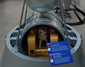 Modell der Sputnik-2-Kapsel