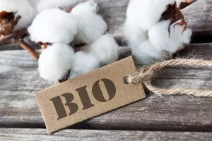 Symbolbild bio-zertifizierte Baumwolle