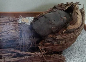 Kopf einer etwa 5.000 Jahre alten Chinchorro-Mumie