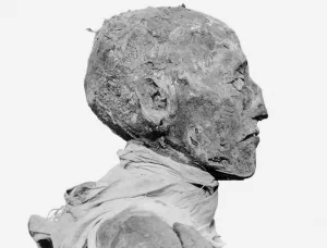 Kopf der Mumie des Pharao Ramses III.