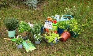 Symbolbol Gartenmüll